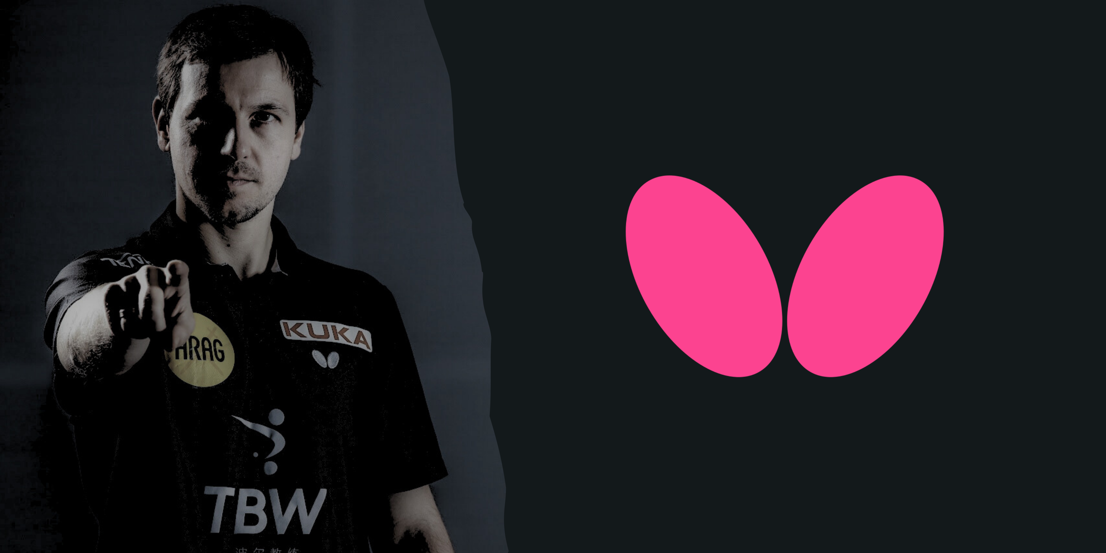 Butterfly Banner